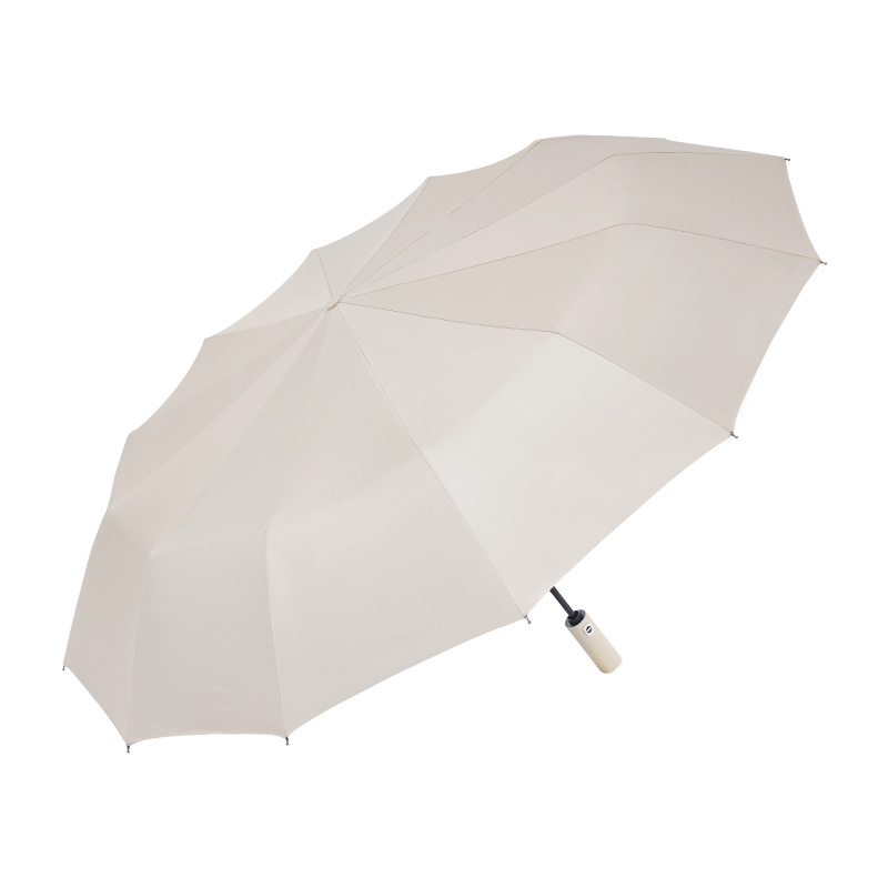 Luxe compacte parasol voor dam - Parasol Umbrella Large recensie en prijs